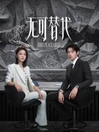 无可替代电视剧免费观看全集播放